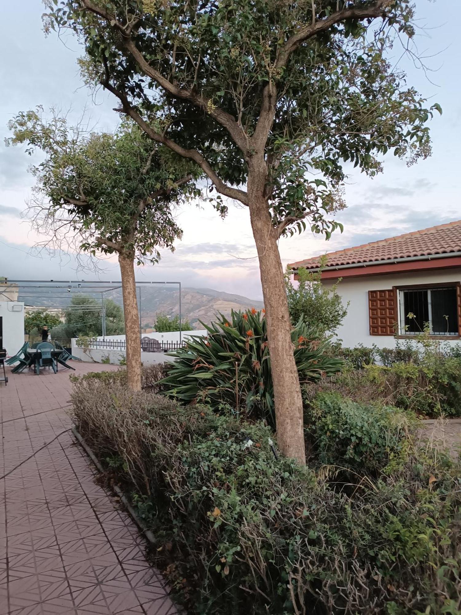 Casa Rural Chalet Venta Del Aire Cortijo Terron Lanjarón Εξωτερικό φωτογραφία
